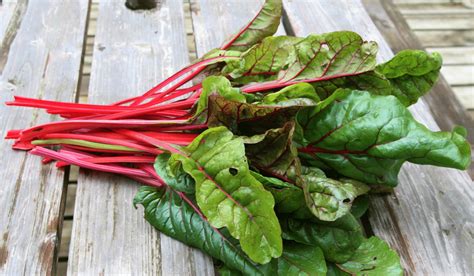 Find The Right Swiss Chard Substitute for Any Recipe