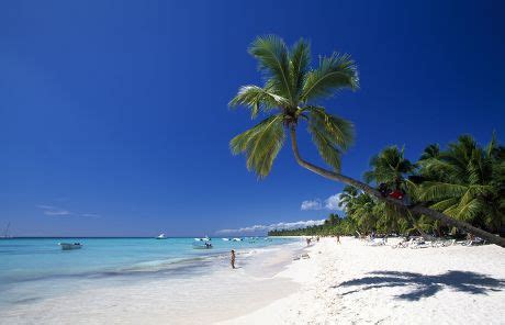 50 Saona island Stock Pictures, Editorial Images and Stock Photos | Shutterstock