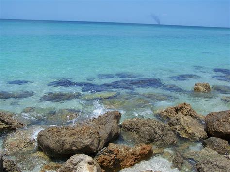 Caspersen Beach, Sarasota County Florida. | Sarasota county, Venice florida, Florida