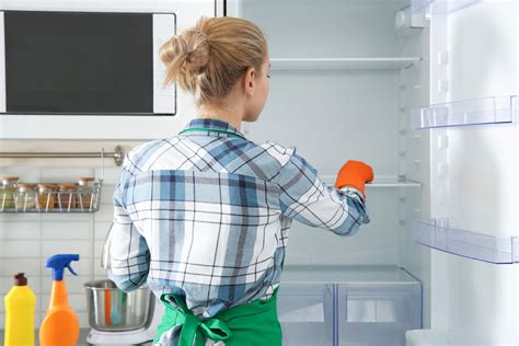 How Often Should You Clean Out Your Freezer/Refrigerator?