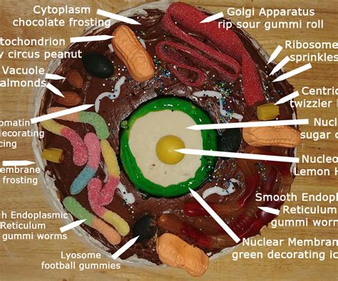 Animal Cell Cake of Celliness : 6 Steps (with Pictures) - Instructables