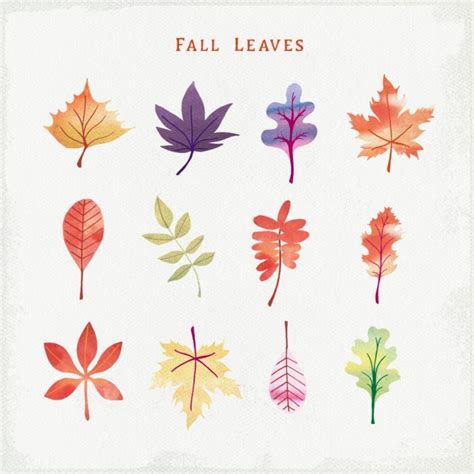 Leaf Shapes Clip Art