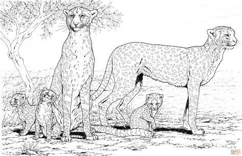realistic cheetah coloring pages - Clip Art Library