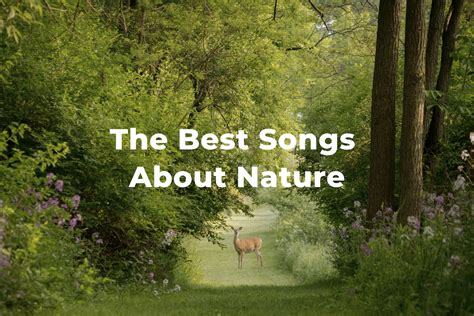 20 Songs About Nature: A Deep Connection to the Natural World - Regeneration Music Project