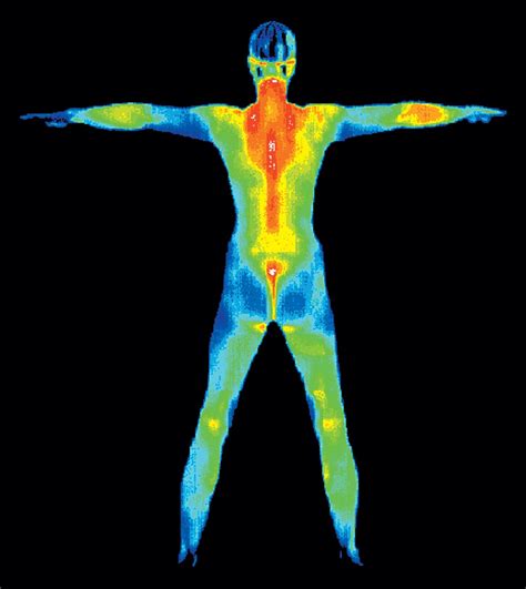 Thermography Clinic Minneapolis Minnesota | Alternative to Mammogram