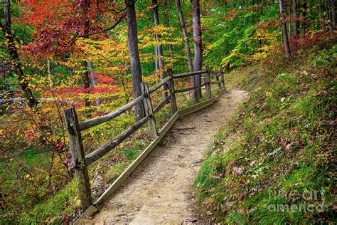 Fall Color - Strahl Lake - Brown County State Park - Indiana Photograph ...