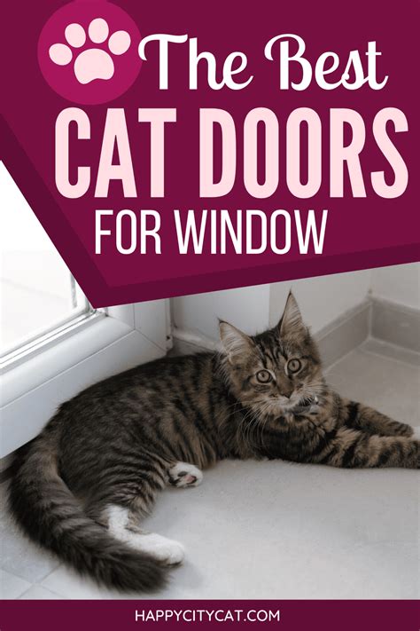 Cat Door For Vertical Window