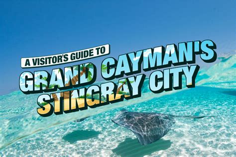 Stingray City: An Insider's Guide to a Memorable Holiday in 2024