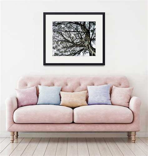 Stunning "Ceiba Tree" Artwork For Sale on Fine Art Prints