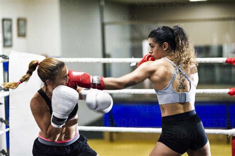 Female boxer hitting her opponent while sparring in the ring of a ...