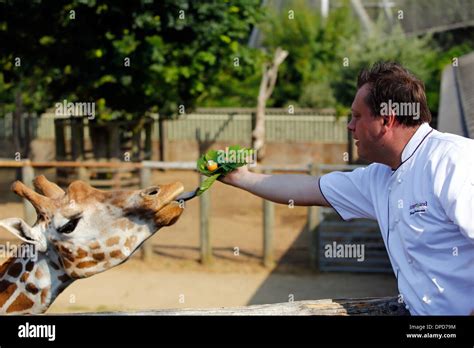 ZSL London Zoo Stock Photo - Alamy