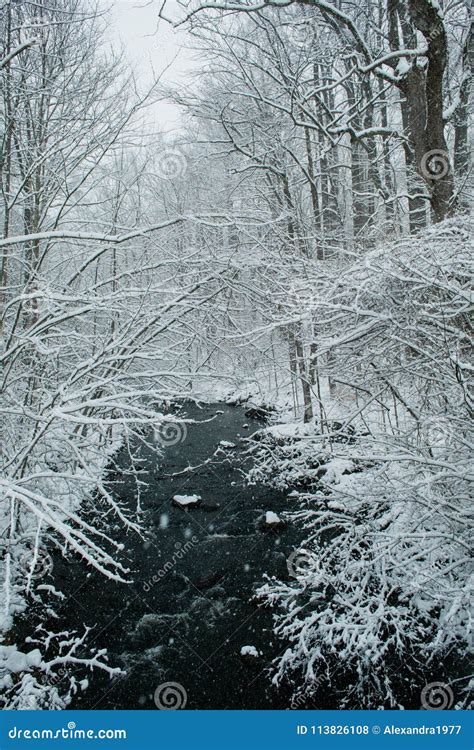 A Snowy Winter Scene in New England Stock Photo - Image of environment, light: 113826108