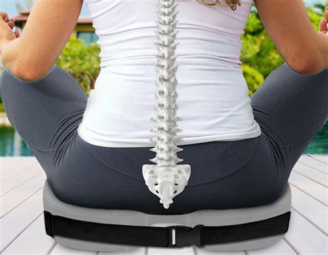 Coccyx and Back Support Seat Cushion – BodSupport