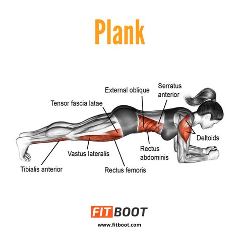 Plank: How To Do, Proper Form, Benefits, Variations & Is It Worth It?