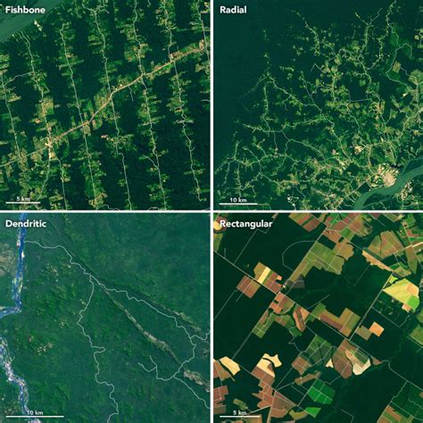 Before And After Deforestation Map