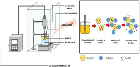 Schematic diagram of ultrasound‐assisted extraction | Download ...