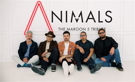 Animals, the Maroon 5 Tribute