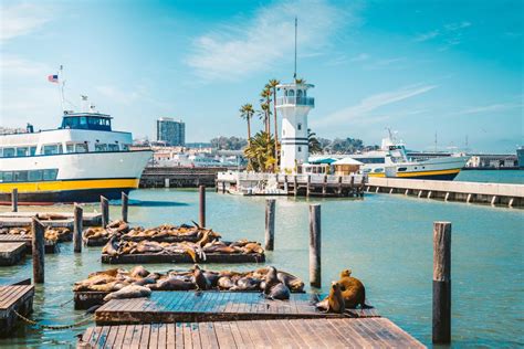 15 Bay Area Attractions You Need To See Now