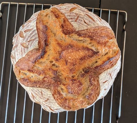 Sourdough with 20% dark rye flour : Sourdough