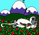 Zoboomafoo: Playtime in Zobooland Screenshots for Game Boy Color - MobyGames