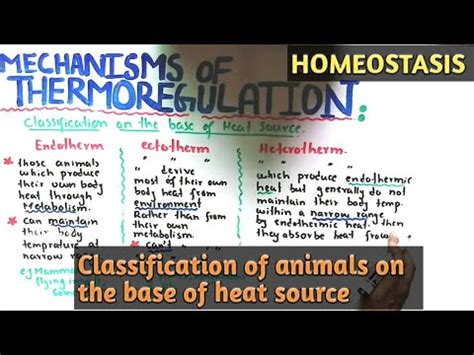 thermoregulation in animals class 12 | mechanism of thermoregulation in animals in hindi and ...