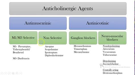 Examples Of Anticholinergic Drugs