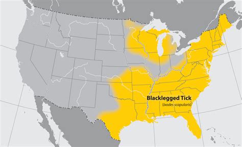 Michigan Tick Map