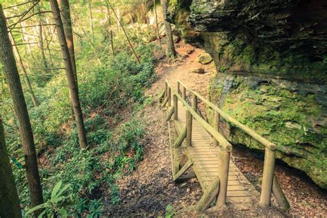 Hiking Trail in Red River Gorge Stock Photo - Image of plant, beautiful: 138679864