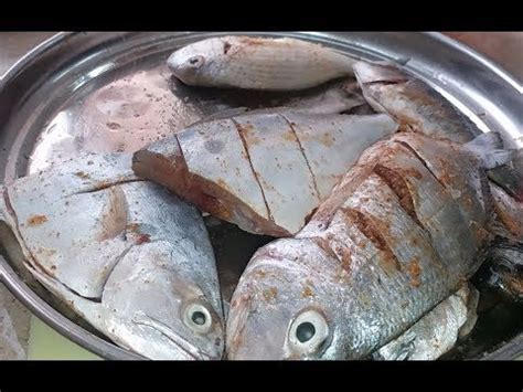 catch clean and cook, Queen fish and sea bream - YouTube