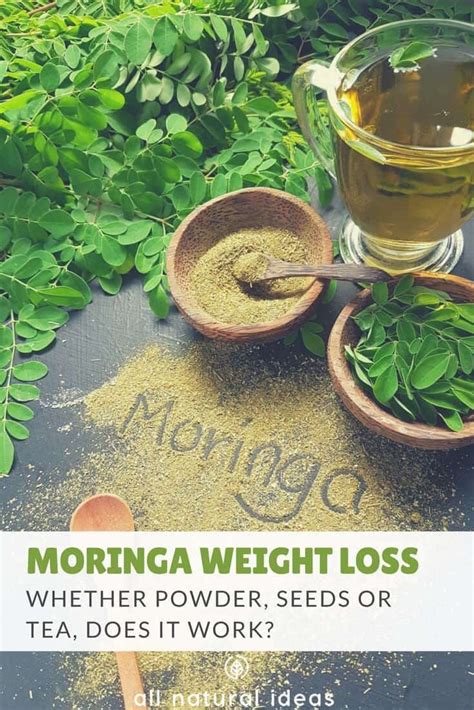 Do Moringa Weight Loss Supplements Really Work? | All Natural Ideas