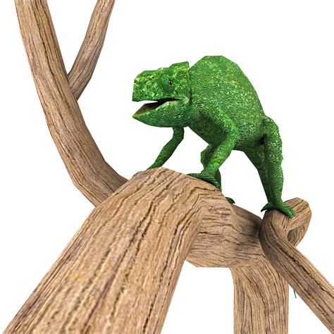 Chameleon 3D Model $25 - .max .obj .3ds .fbx - Free3D