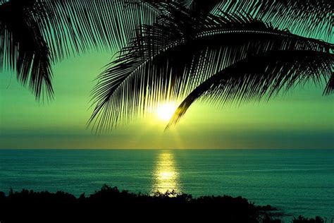 Tropical! Beautiful Sunrise, Beautiful Morning, Beautiful Beaches ...