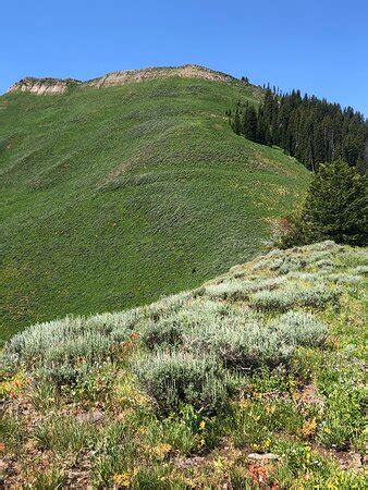 Wolf Mountain Trail (Jackson Hole) - 2021 All You Need to Know BEFORE ...