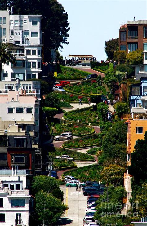 The Zig Zag Street of San Francisco Photograph by fototaker Tony in San ...