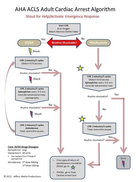 Cardiac arrest algorithm | Nursing School | Pinterest