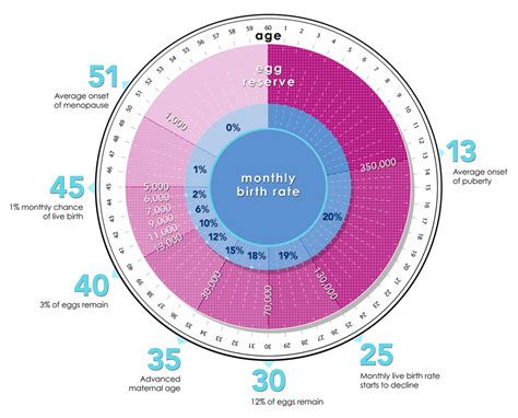 Learn More About Your Egg Count | My Future Baby