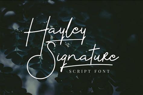 Hayley Signature Font - Befonts.com