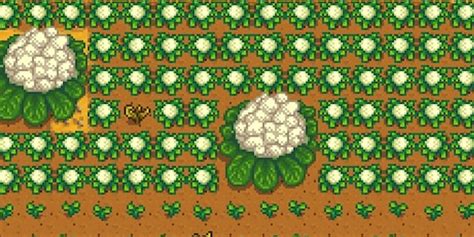 How to Find and Grow Every Crop in Stardew Valley