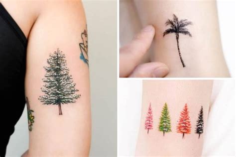 Discover more than 74 japanese pine tree tattoo best - 3tdesign.edu.vn