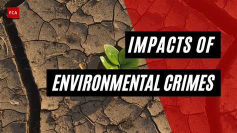 Impacts Of Environmental Crimes