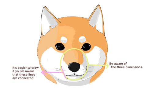 How To Draw A Dog Face And Body - Richeffective24