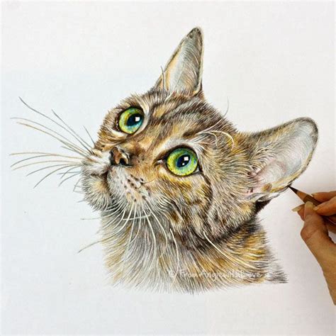 Cat Portraits Gallery - Commission Your Own Here | Cat portraits, Cat ...