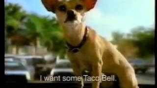 What Happened To The Taco Bell Chihuahua Dog