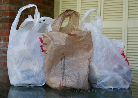 Paper or Plastic Shopping Bags? — Simple Ecology