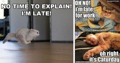 30 Cat Memes You’ll Get if You’re Always Running Late - I Can Has Cheezburger?