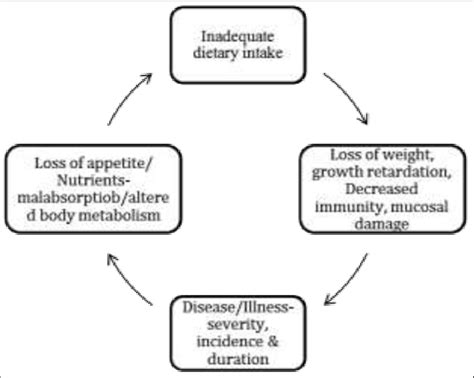 Vicious Cycle of Malnutrition and Infection | Download Scientific Diagram