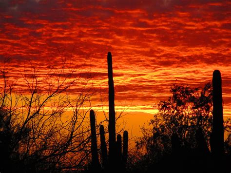 Sonoran Desert Sunset #2 Photograph by John Diebolt - Fine Art America