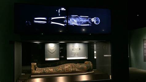 Egyptian Mummies from the British Museum: Exploring Ancient Lives | IMA Solutions