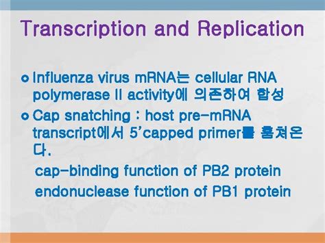 Orthomyxoviridae The viruses and their replication stages of