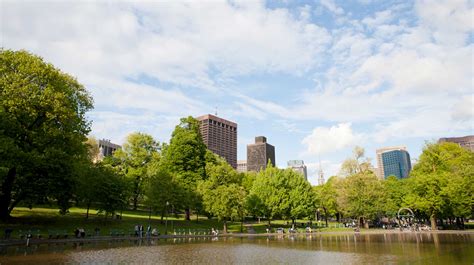 The Boston Common Frog Pond